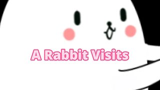 A White Rabbit Visits! 😍