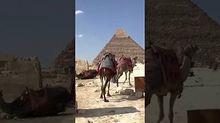 Giza Pyramids Egypt 🇪🇬