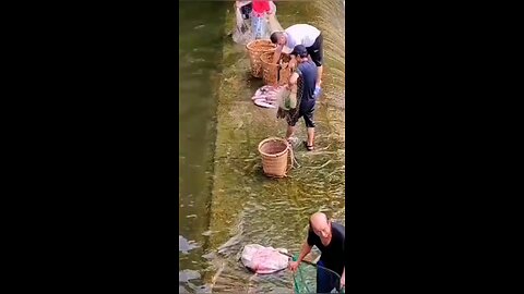 Funny video | funny fish hunting | funny video for laughs |