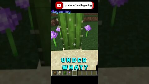 Hide Chest Under Cactus And A Tree | Minecraft