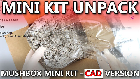 Mushroom Grow Kit Unpacking - Mini CAD