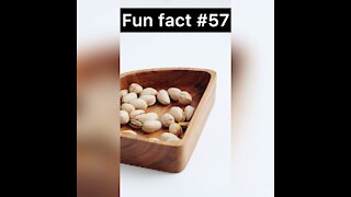 Did you know this about pistachios