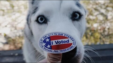 DEAD DOG Receives Register to Vote-by-Mail Application