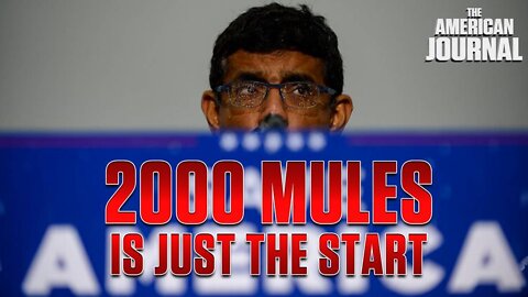 “2000 Mules” Is Just The Start: Now Get Your Local Sheriff To ACT On The Evidence