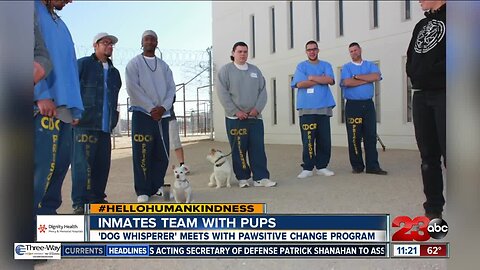 'Dog Whisperer' meets with Pawsitive Change Program graduates