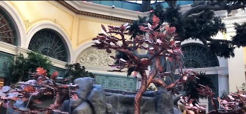 Bellagio decorates for Chinese New Year ahead of the holiday