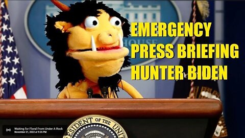 White House Press Briefing w/ Wilton the Troll