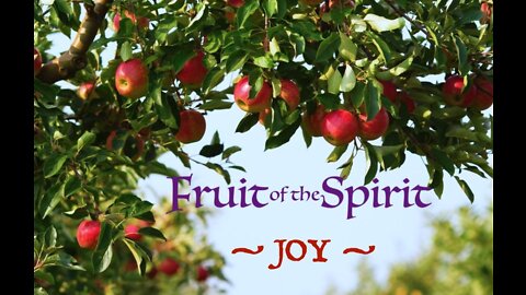 Fruit of the Spirit — Christian Joy