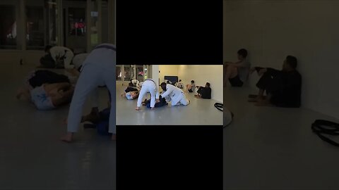 Jiujitsu Black Belt Dropping Jewels! #bjjlifestyle #bjj #bjjsparring