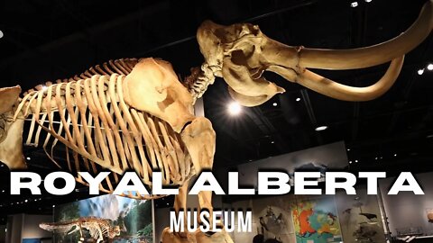 Abandoned Alberta Exhibit | Royal Alberta Museum