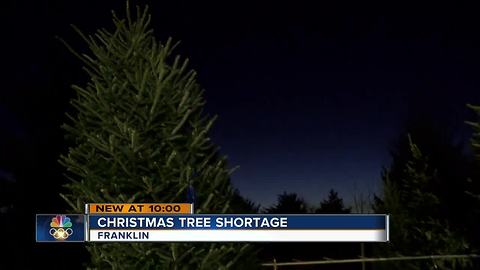 National Christmas tree shortage impacts Wisconsin sellers