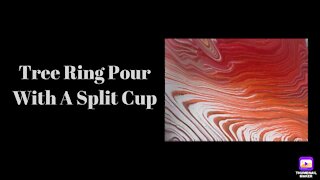 (19) Split Cup Tree Ring Pour -Acrylic Pouring