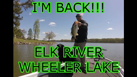 Messing Around At The Elk River On Wheeler Lake