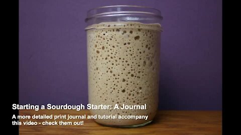 SD01 Starting a Starter Journal | Sourdough eCourse Lesson 1