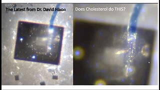 Shimon Yanowitz & Matt Taylor - OPTICAL FIBER WIRES Inside Shots! Exploding Tubes KILL the Host