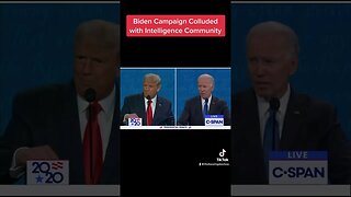 Biden election interference