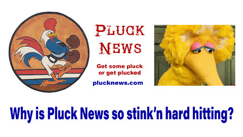 Intro - Why is Pluck News so stink'n hard hitting?