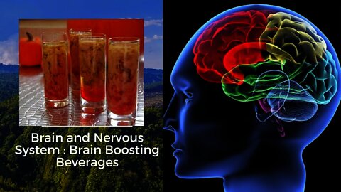Brain and Nervous System: Brain-Boosting Beverages