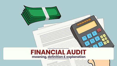 What is FINANCIAL AUDIT?
