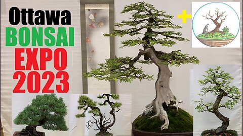 The Ottawa Bonsai Expo 2023