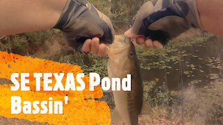 Texas Pond Bassin'
