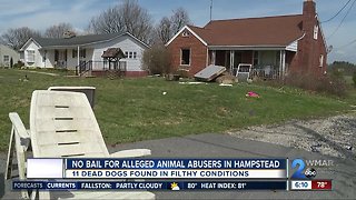 No bail for alleged animal abusers in Hampstead