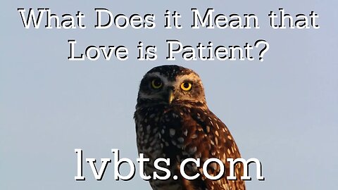 What Does it Mean that Love is Patient?