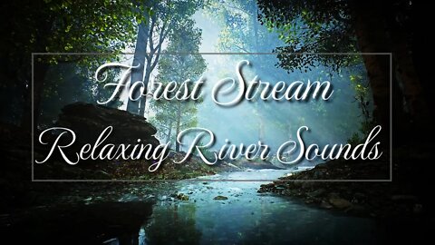Forest Stream - Relaxing River Sounds - With bird signing - Relax/ Sleep/ Study