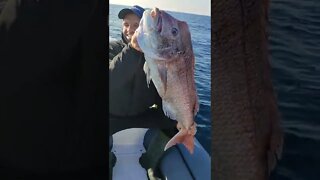 BIGGEST FISH ever Caught on Spinning Tackle!!!