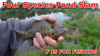 Four Species Pond Slam