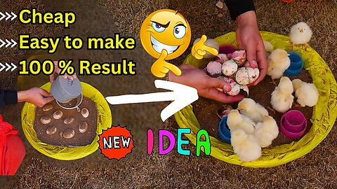 Easy idea to Make Egg Incubator || Egg Hatching in Old bucket || Chicks cool inventions make at home