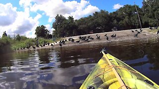 Kayak Fly Fishing Review of Lake Buffum in Polk County, Florida