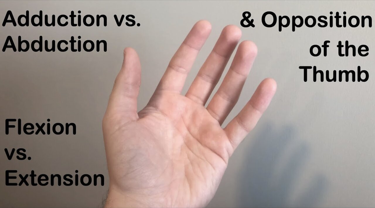 Abduction vs. Adduction, Flexion vs. Extension and Opposition of the Thumb