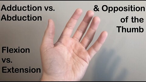 Abduction vs. Adduction, Flexion vs. Extension and Opposition of the Thumb