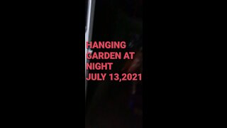 HANGING GARDEN AT NIGHT JULY 13,2021