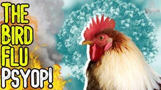 THE BIRD FLU PSYOP! - Alt Medias & MSM Promote Latest Scamdemic! - Have People Learned ANYTHING?