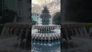 It’s the Charleston Pineapple Fountain Again