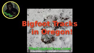 Bigfoot Tracks in Oregon | Mushroom Hunters