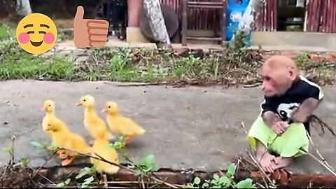 Bibi was very happy when taking care of the ducklings around the yard