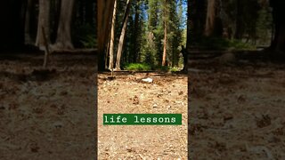 Life Lessons on the Trail