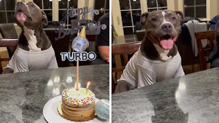 Happy pup joins family in singing "Happy Birthday" song
