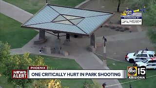 One critically hurt in park shooting