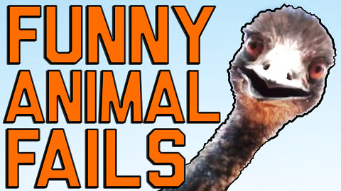 TRY NOT to LAUGH Animals FUNNY PET FAILS Compilation 2022 #bestfails