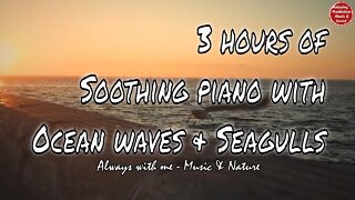 Soothing music with piano and ocean seagull sound for 3 hours, music for deep sleeping and resting