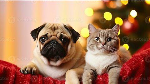 The cat took the dog on a date...😁 🤣