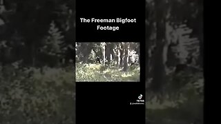 bigfoot