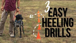 Stop Leash Pulling With These 3 Easy Heeling Drills At Home