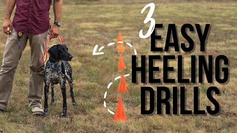 Stop Leash Pulling With These 3 Easy Heeling Drills At Home