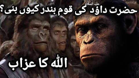 Hazrat Dawood (AS) nation becomes monkeys? But why watch in video