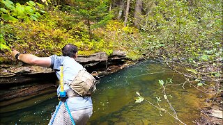 Fishing TINY Creeks for Fall Brook Trout!!